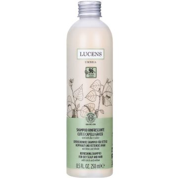 Sampon pentru Par Gras cu Mesteacan si Salcie 250ml