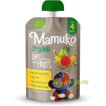 Porridge de Ovaz cu Fructe 4+ Luni Ecologic/Bio 100g
