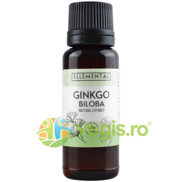Extract de Ginkgo Biloba 25g
