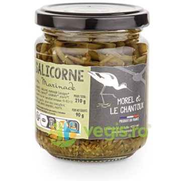 Sparanghel de Mare in Saramura 210g