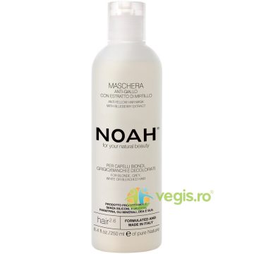 Masca Naturala pentru Par cu Extract de Afine Anti-Yellow 250ml