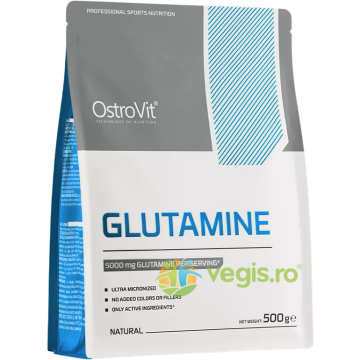 Glutamina 500g