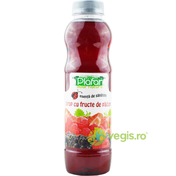 Sirop cu Fructe de Padure 500ml