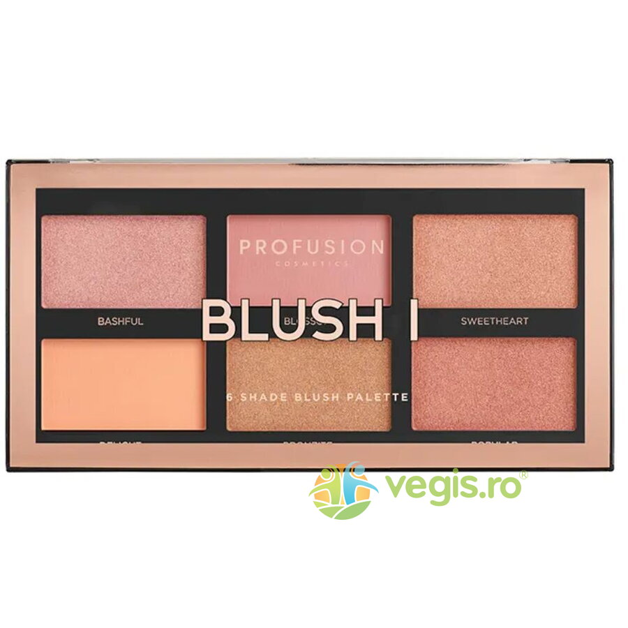 Paleta Farduri de Obraz 6 Nuante Blush I 16g
