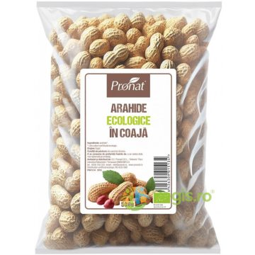 Arahide in Coaja Usor Prajite Nesarate Ecologice/Bio 500g