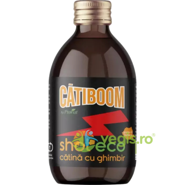 Shot de Catina cu Ghimbir Ecologic/Bio 100ml