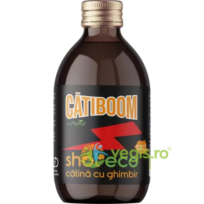 Shot de Catina cu Ghimbir Ecologic/Bio 100ml