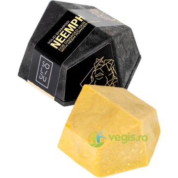 Sampon Solid pentru Par Deteriorat cu Pudra de Neem si Busuioc 65g