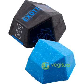 Sampon Solid pentru Par Normal 65g