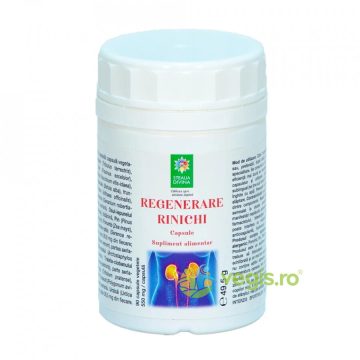 Regenerare Rinichi 90cps