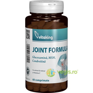Joint Formula (Glucozamina, MSM si Condroitina) 60tb