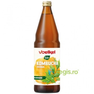 Bautura Acidulata pe Baza de Kombucha Ecologic/Bio 750ml