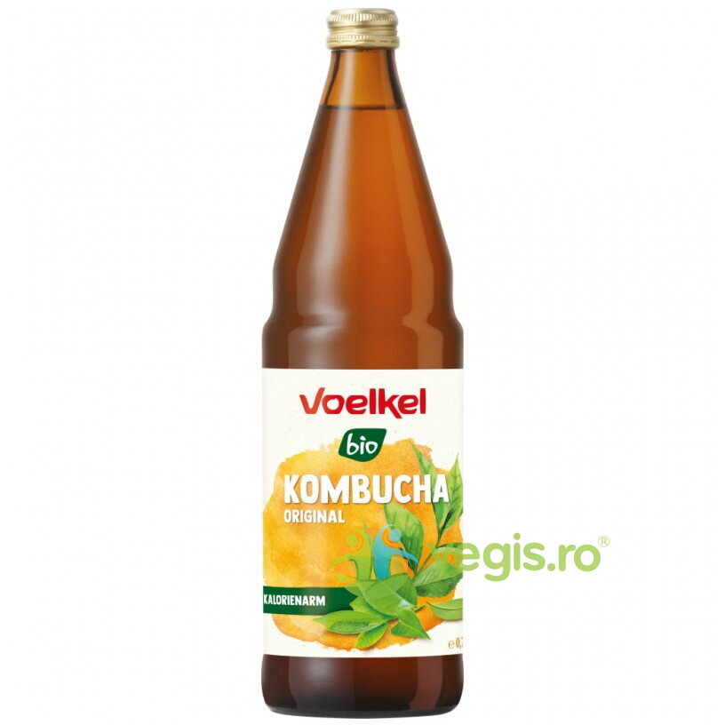 Bautura Acidulata pe Baza de Kombucha Ecologic/Bio 750ml