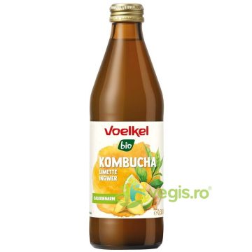 Bautura Kombucha cu Limete si Ghimbir Ecologica/Bio 330ml