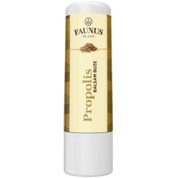 Balsam de Buze cu Propolis 5ml