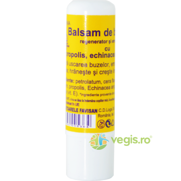 Virginia Balsam pentru Buze cu Echinacea Bio 5ml