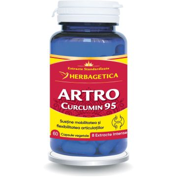 Artro Curcumin 95 60cps