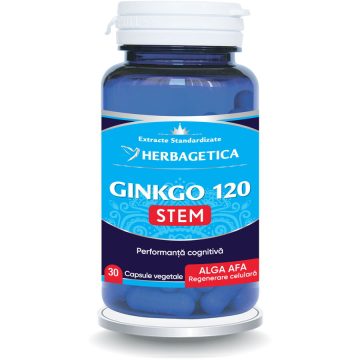 Ginkgo 120 Stem 30cps