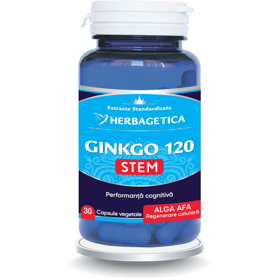 Ginkgo 120 Stem 30cps
