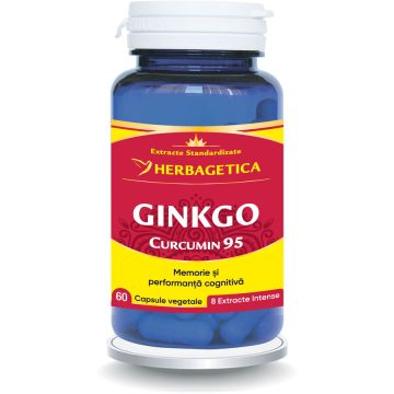 Ginkgo Curcumin 95 60cps