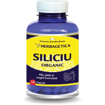 Siliciu Organic 120cps