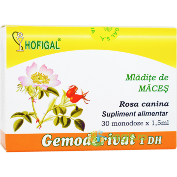 Mladite de Maces 30mondz