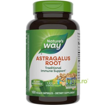 Astragalus Root 100cps Secom,